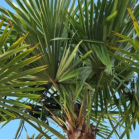 Mourenia Aroue-Ithorots-Olhaiby