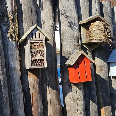 Maison D'hotes, Mourenia A Gr65 Gæstehus